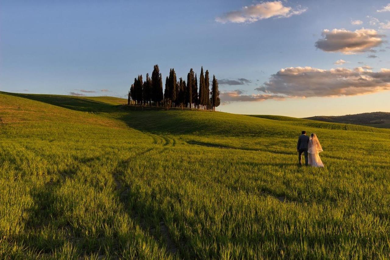 L' Antica Oliviera D'Orcia Leilighet San Quirico dʼOrcia Eksteriør bilde